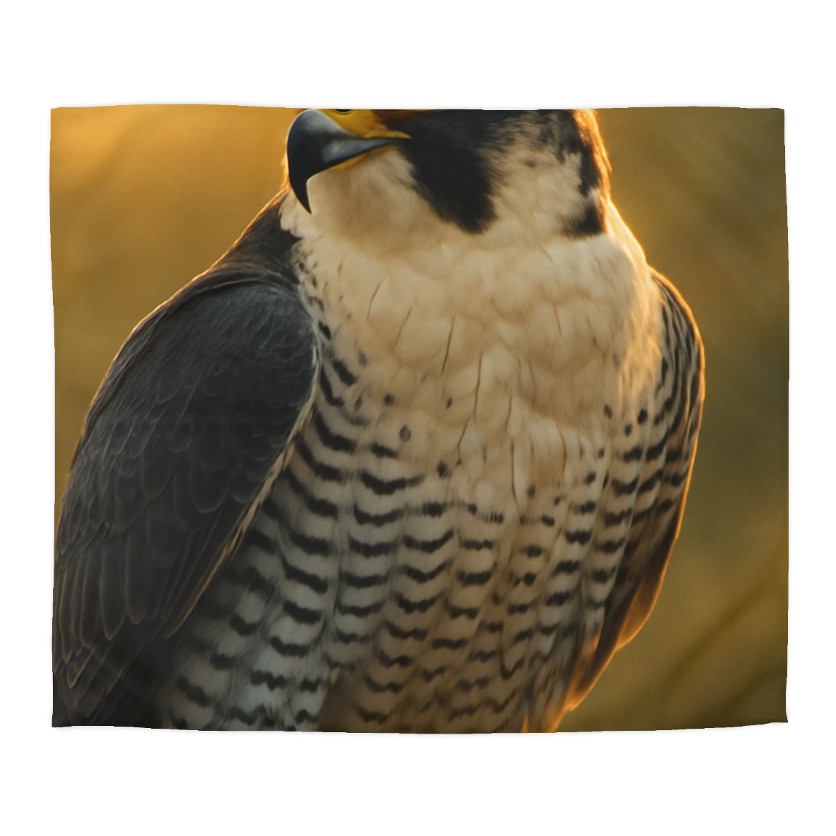 Dawn Arrow Peregrine Falcon designer printed duvets