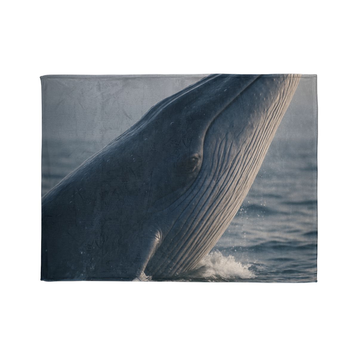 Ocean Song Blue Whale trendy patterned blankets