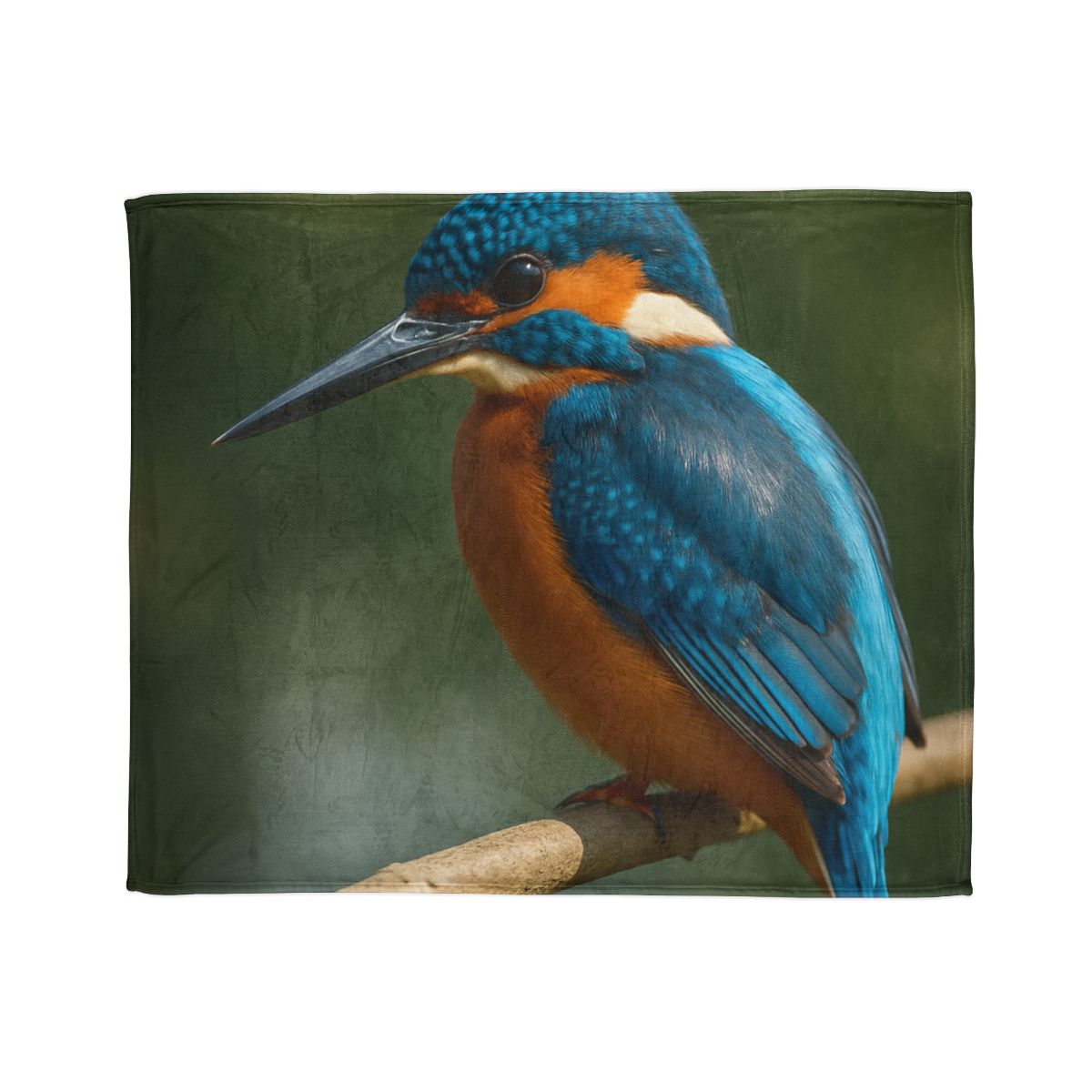 Azure Bolt Common Kingfisher soft fleece blankets