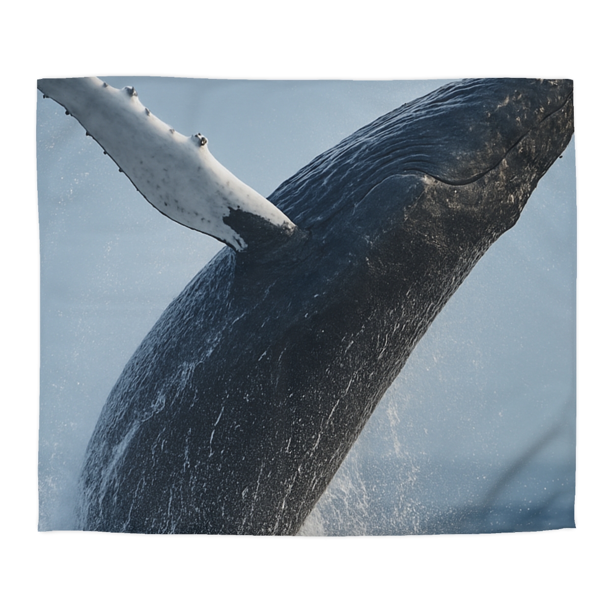 Humpback Whale Rising Calm designer printed duvets