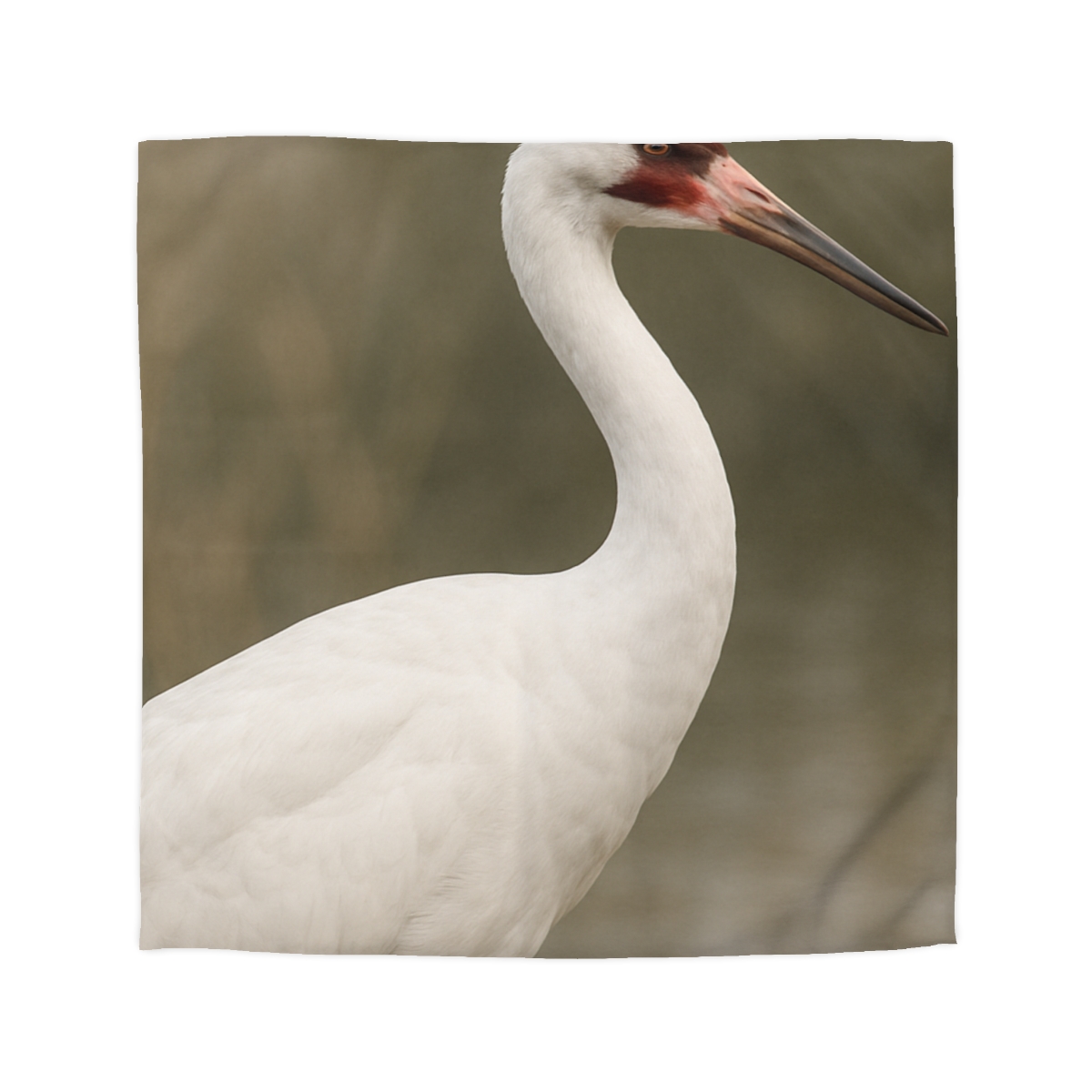 Silver Poise Whooping Crane trendy bedroom duvets