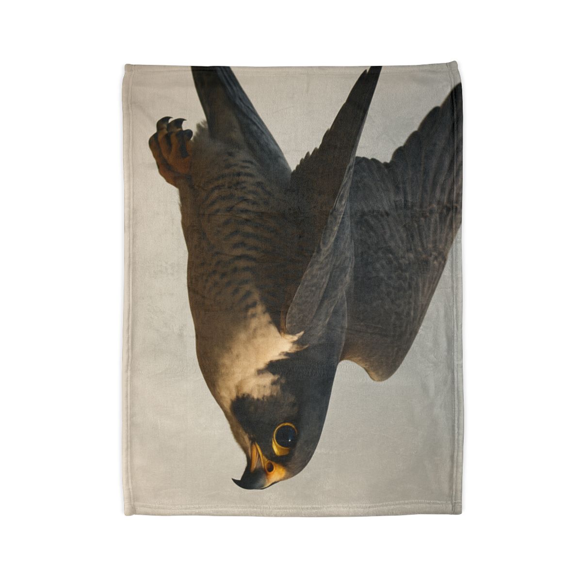 Comet Glide Peregrine Falcon warm winter blankets