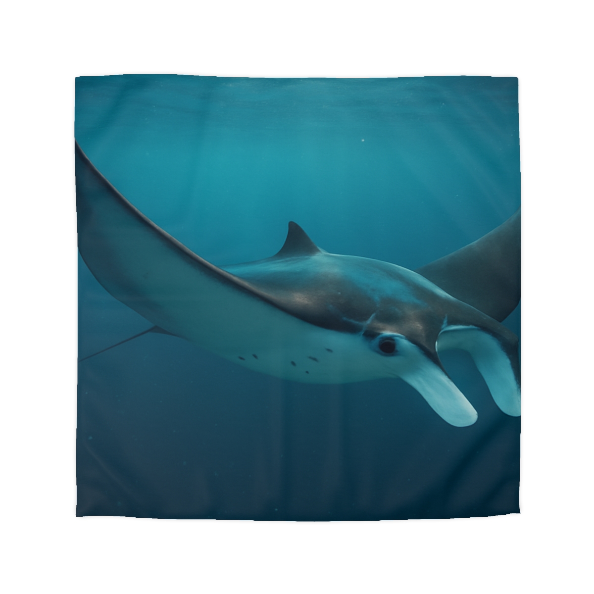 Cosmic Glide Manta Ray duvets for gifts