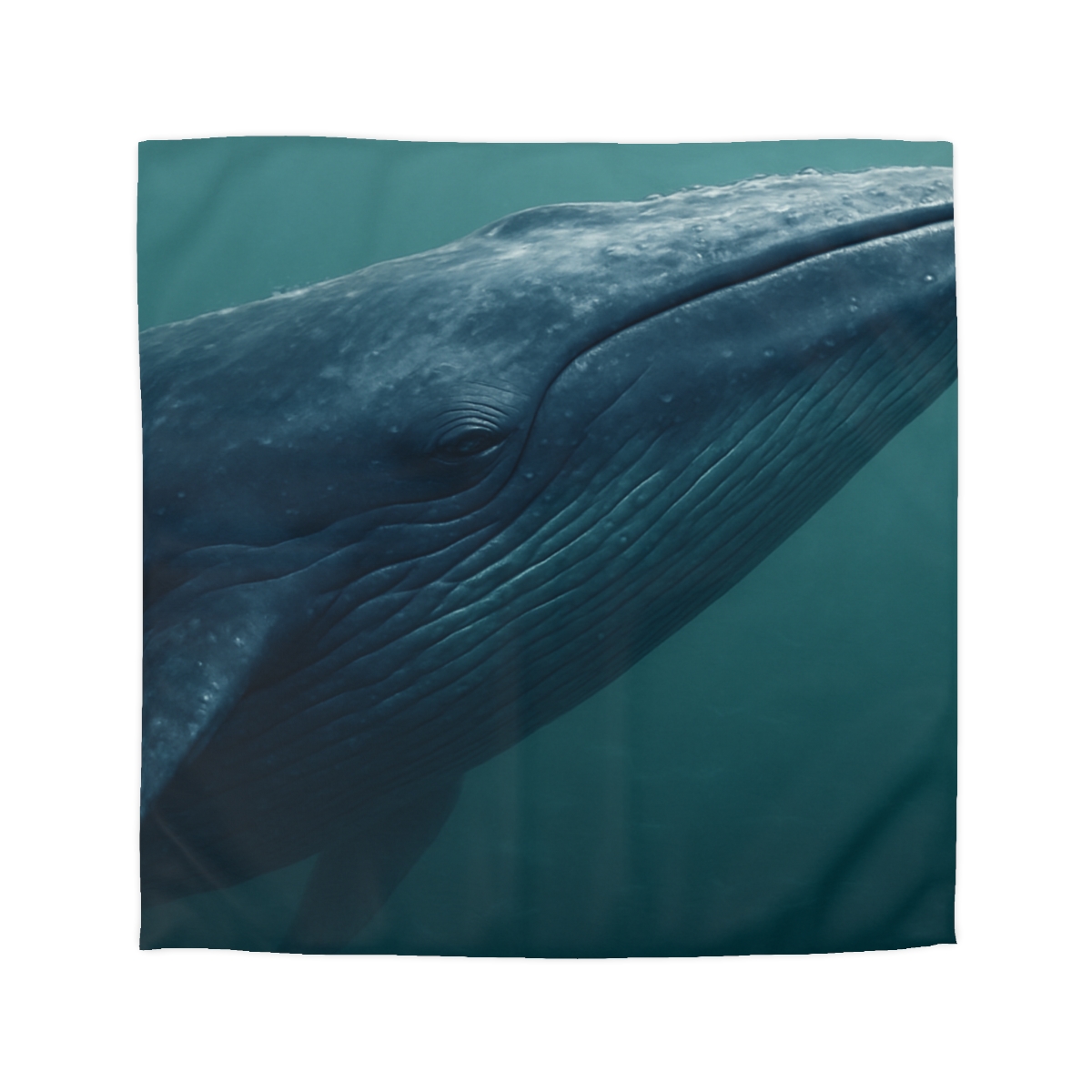 Ocean Song Blue Whale trendy bedroom duvets