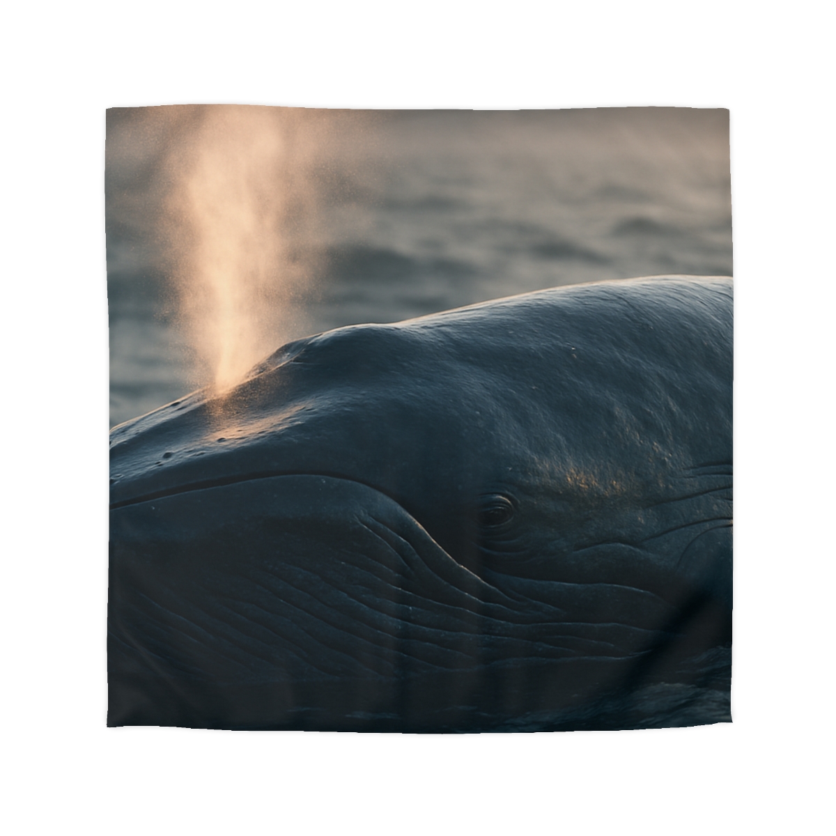 Ocean Song Blue Whale trendy bedroom duvets