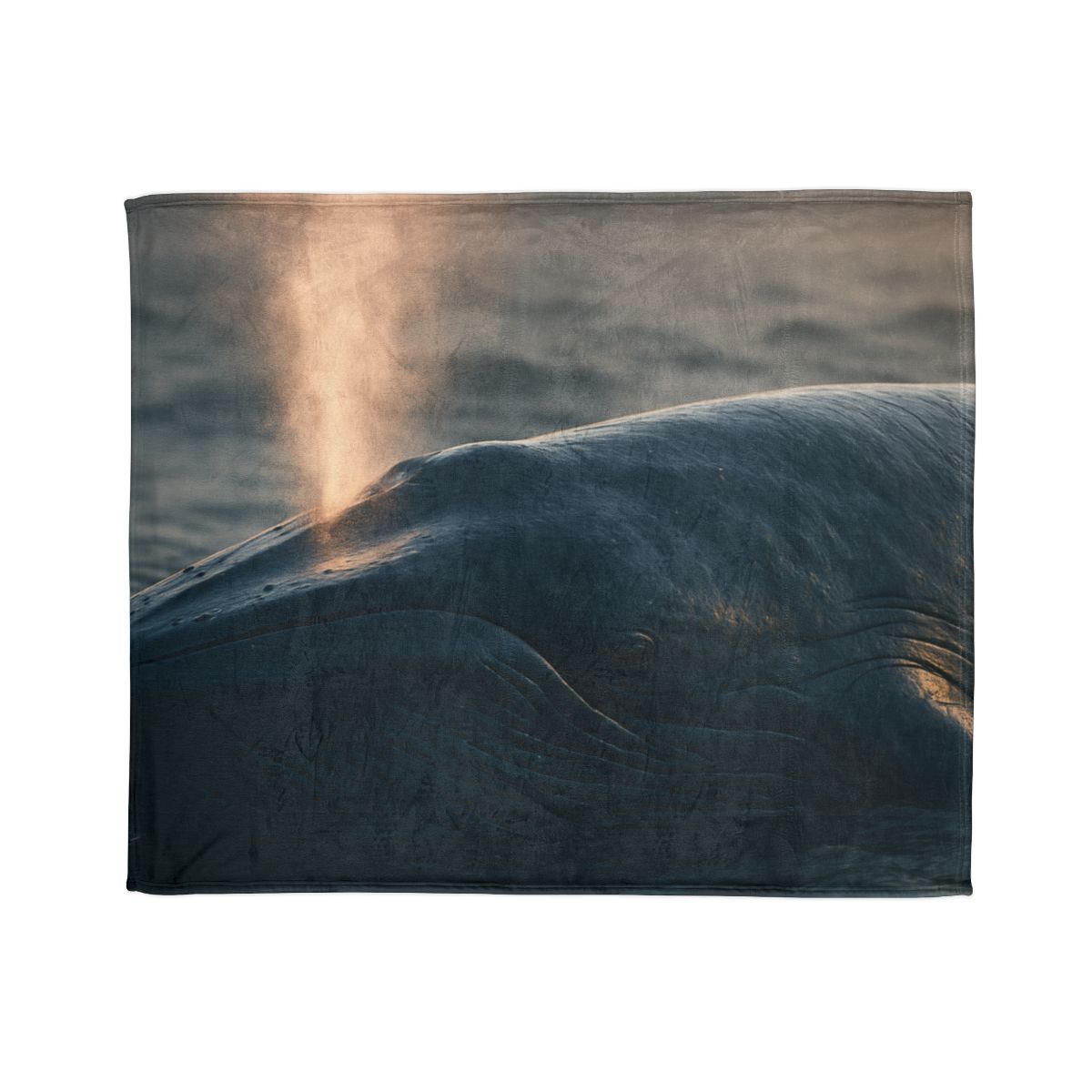 Ocean Song Blue Whale unique gift blankets