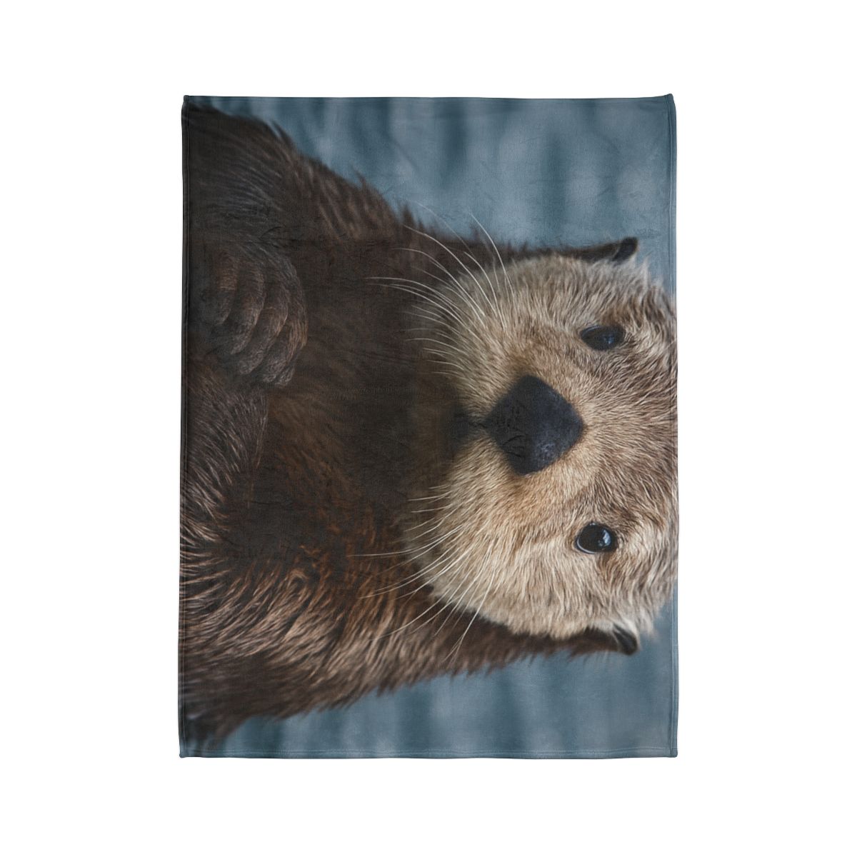 Mirror Drift Sea Otter decorative home blankets