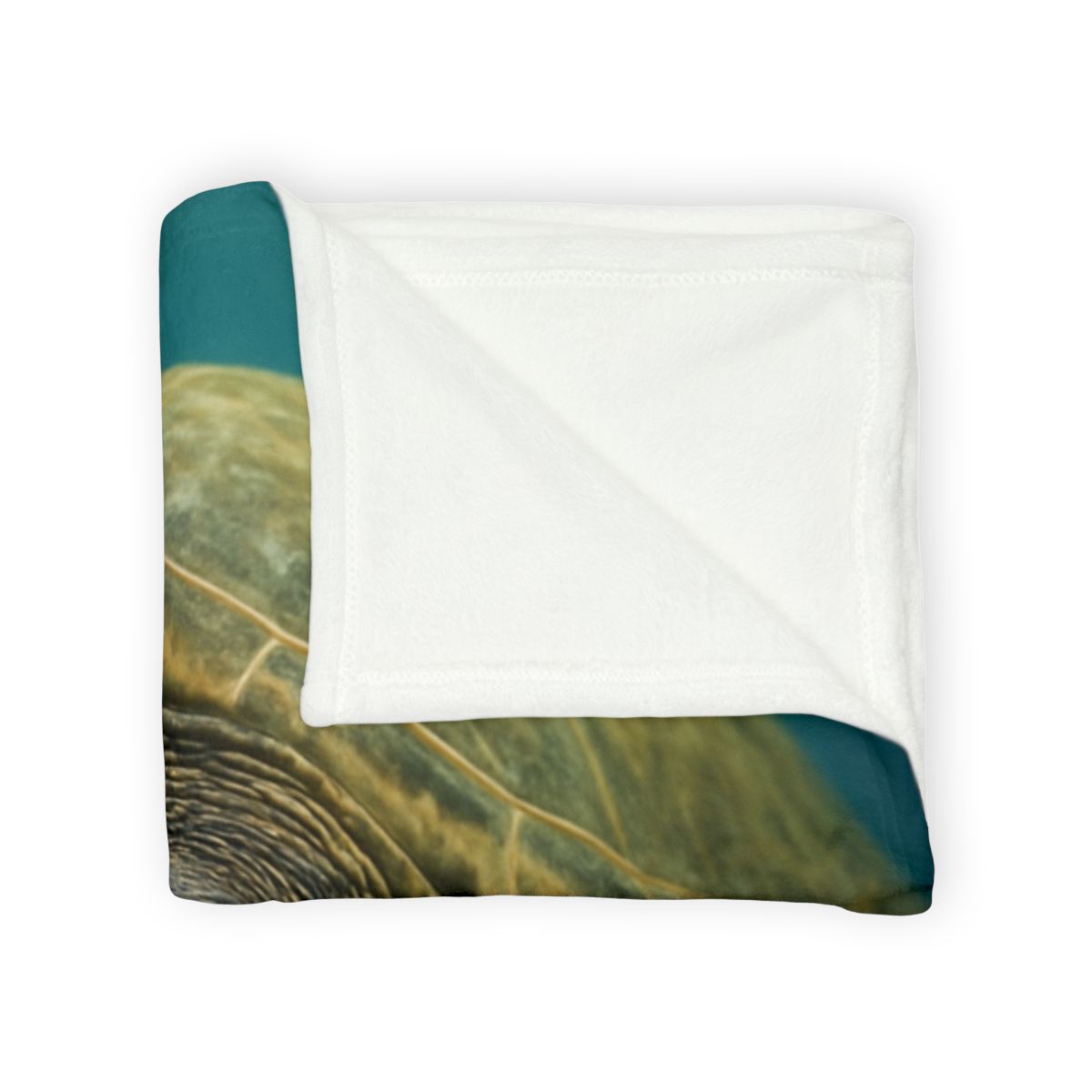 Glasswater Drift Green Sea Turtle warm winter blankets