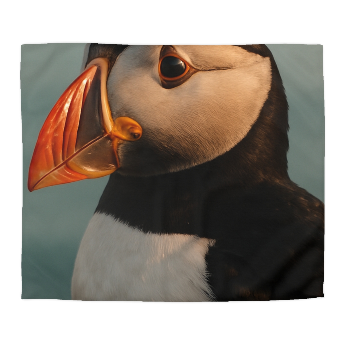 Dawn Beacon Puffin duvets for gifts