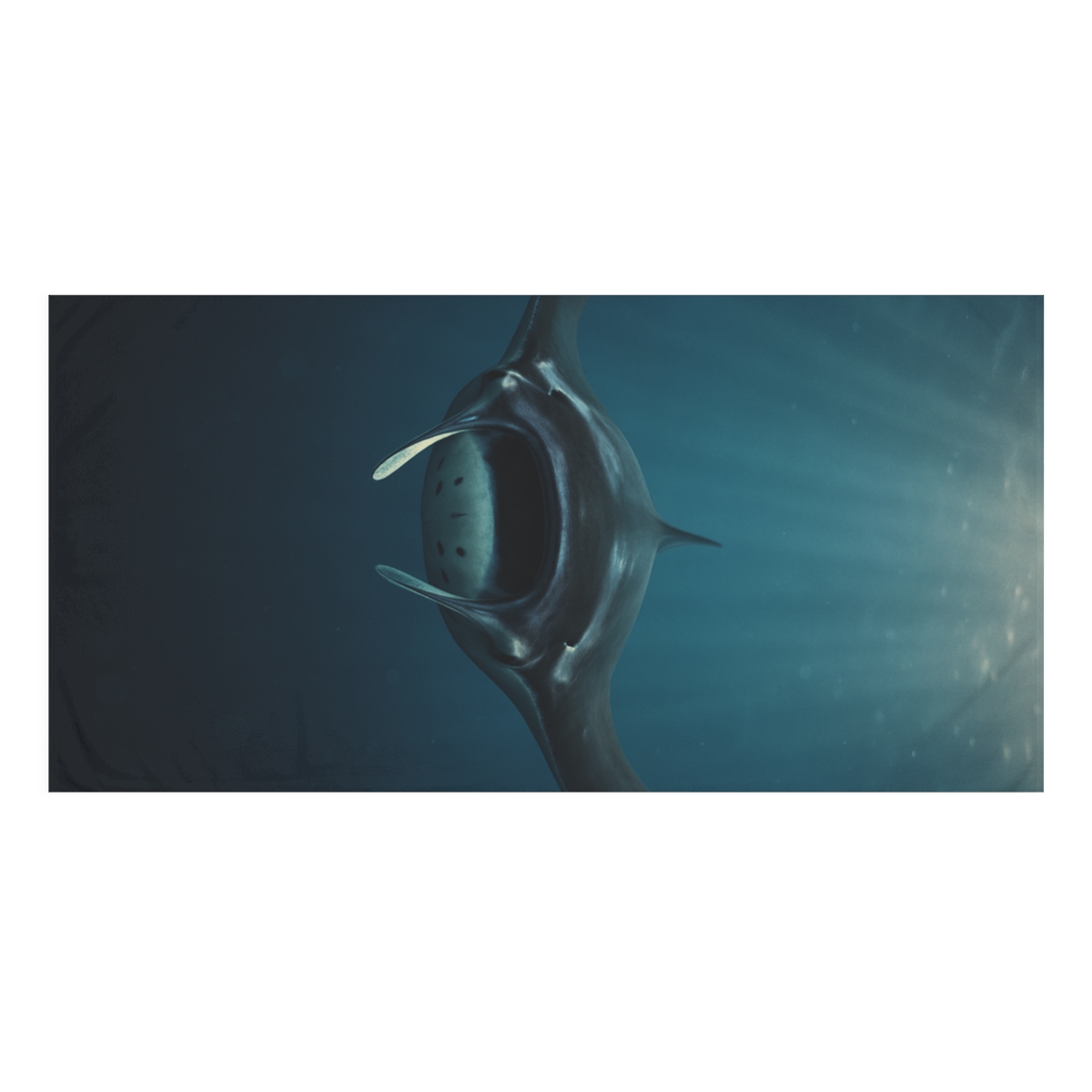 Blue Wing Manta Ray unique gift towels