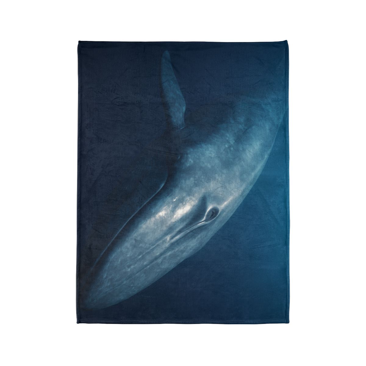 Ocean Song Blue Whale trendy patterned blankets