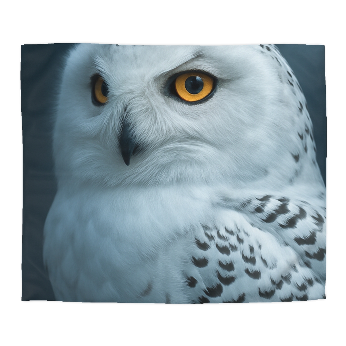 Midnight Watch Snowy Owl duvets for gifts