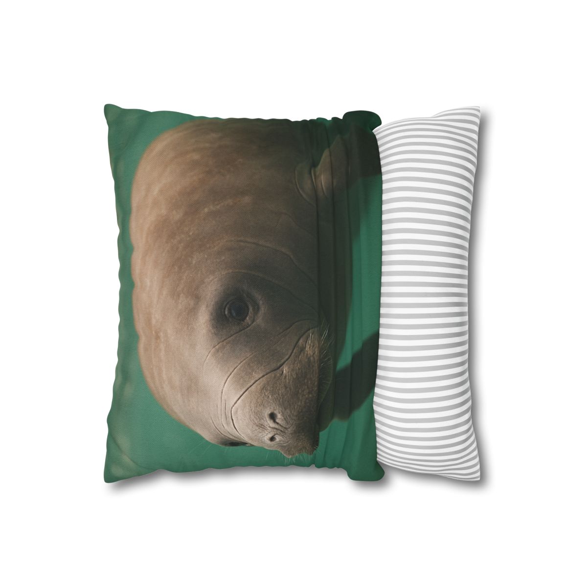 Glasswater Drifter West Indian Manatee stylish decorative pillowcases