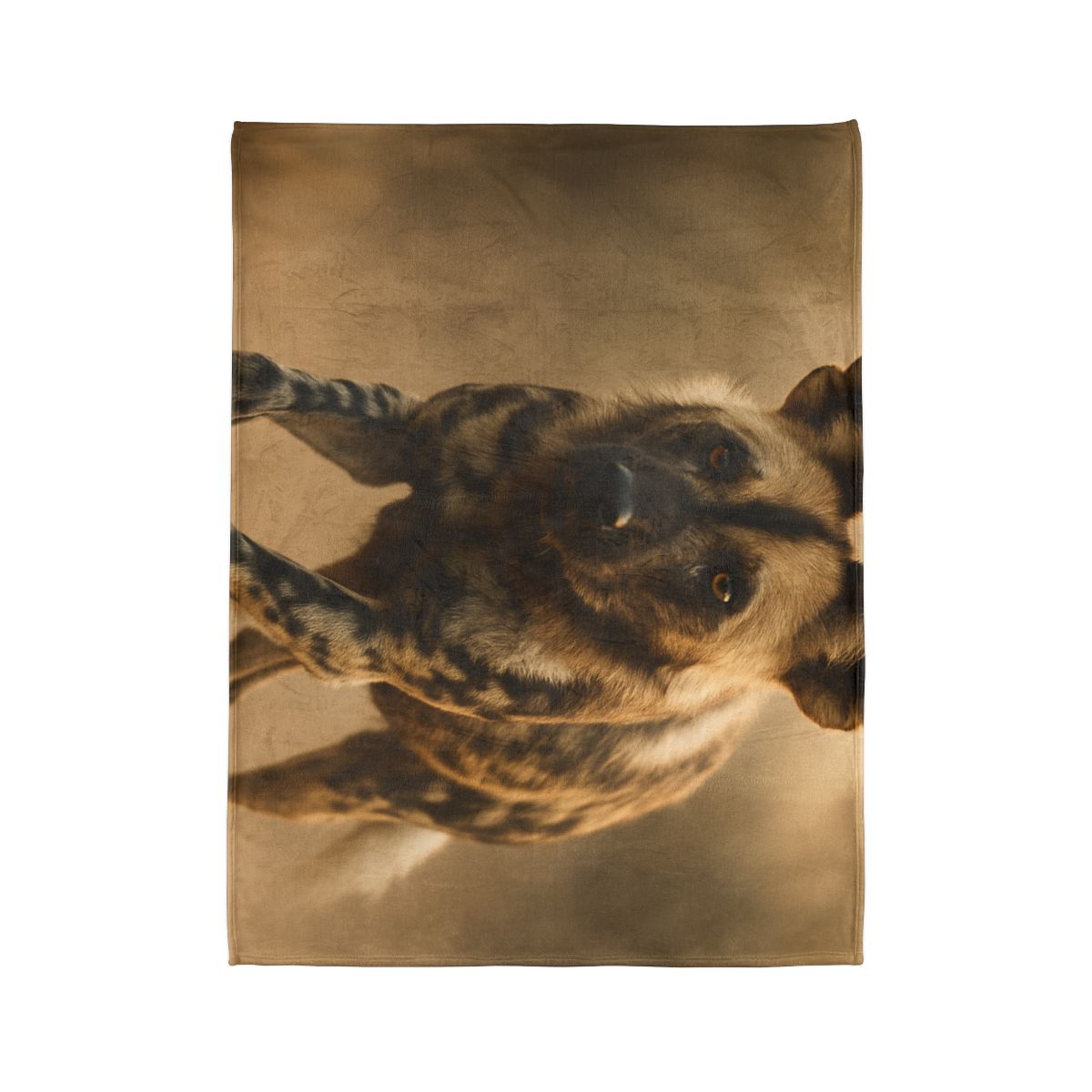 Starlit Scout African Wild Dog trendy patterned blankets