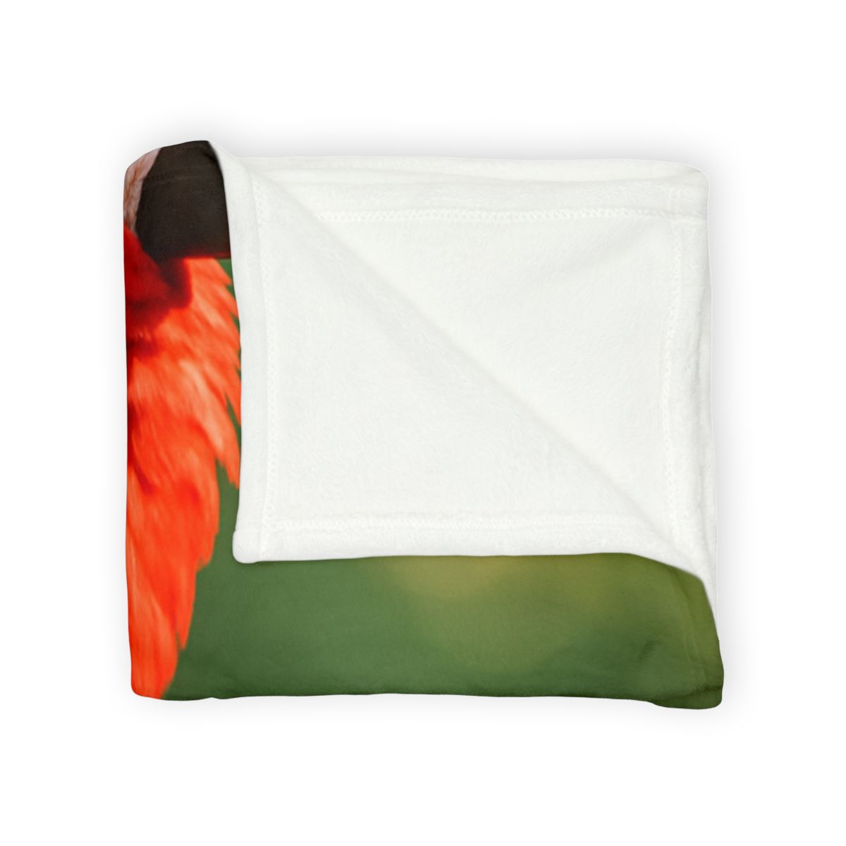 Prism Song Scarlet Macaw warm winter blankets