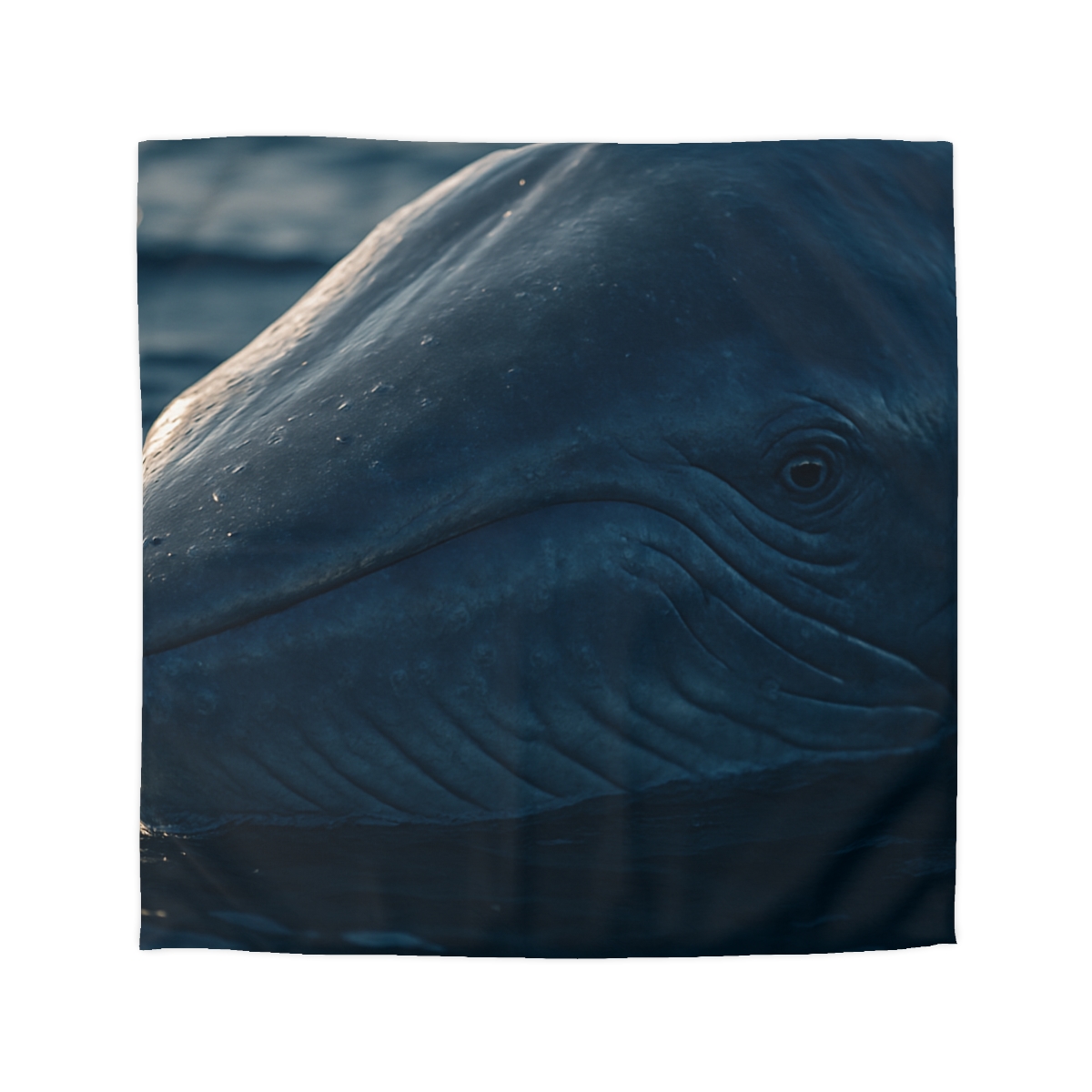 Ocean Song Blue Whale personalized bedding duvets