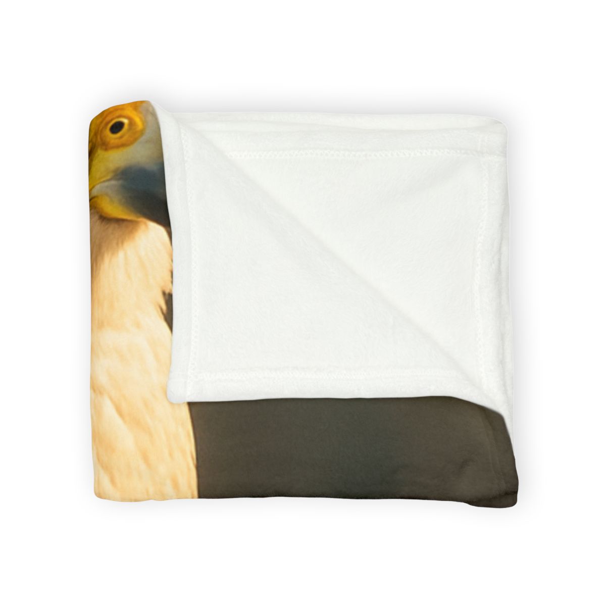 Starlit Poise Peregrine Falcon designer printed blankets