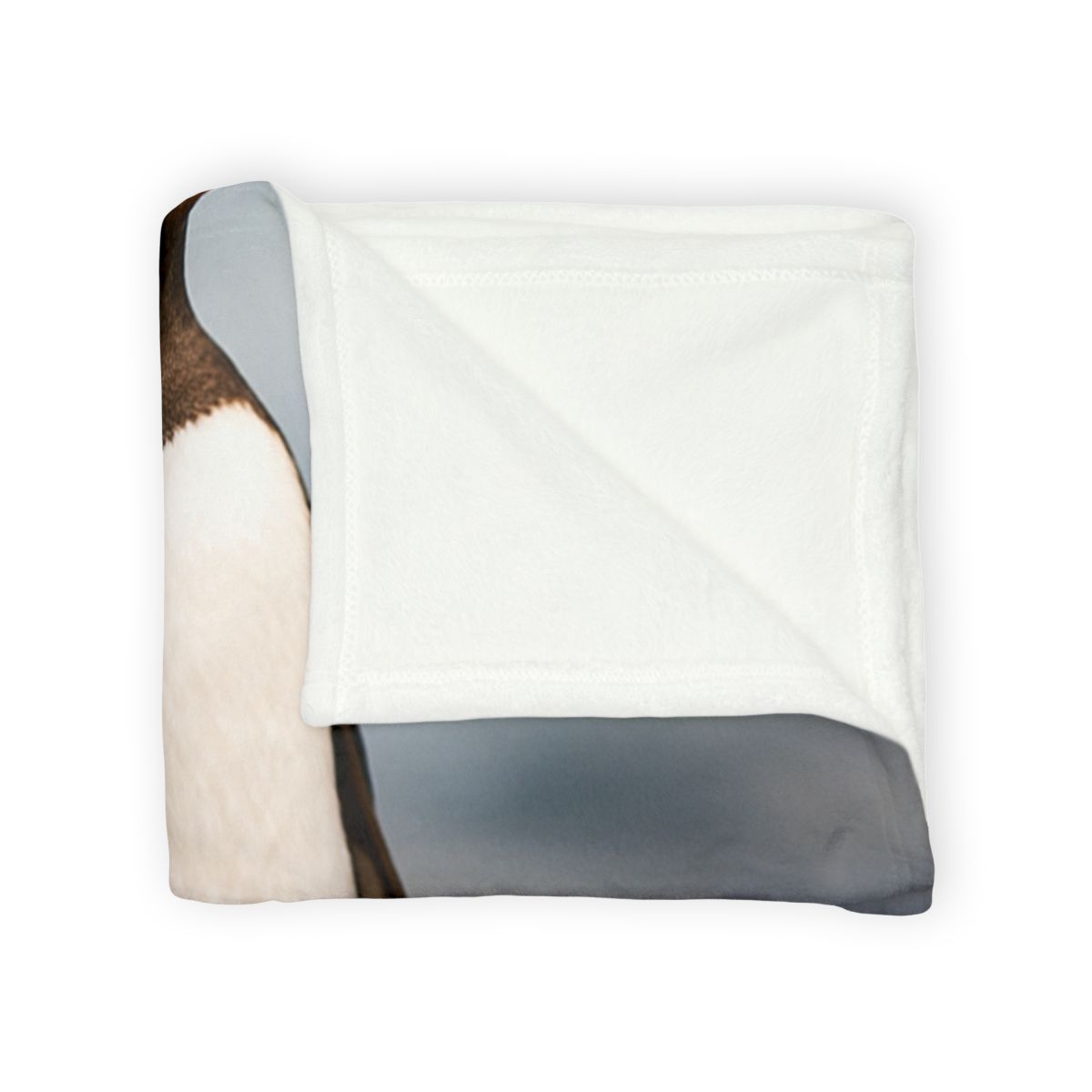 Shoreline Echo Gentoo Penguin designer printed blankets