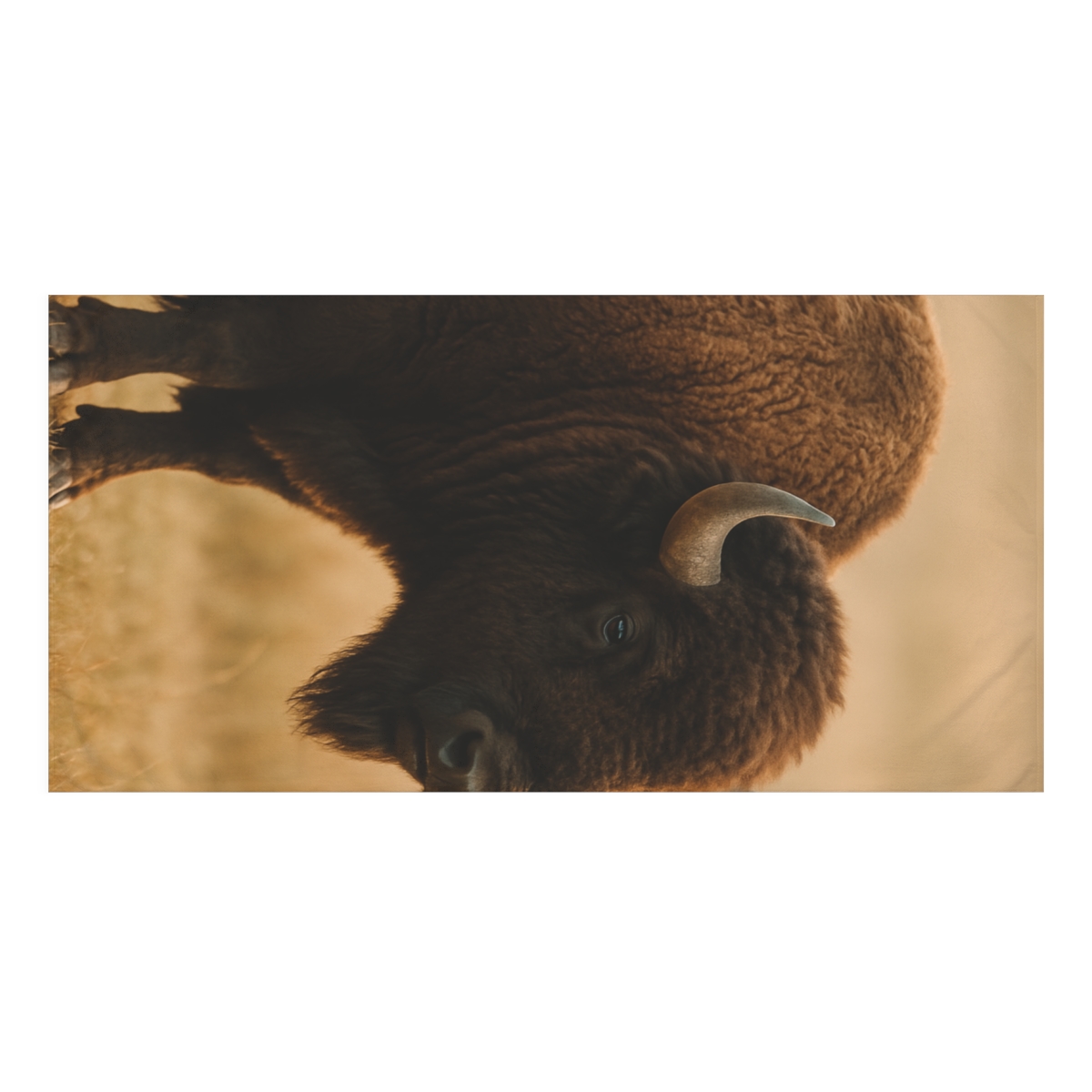 Prairie Thunder Bison decorative home towels