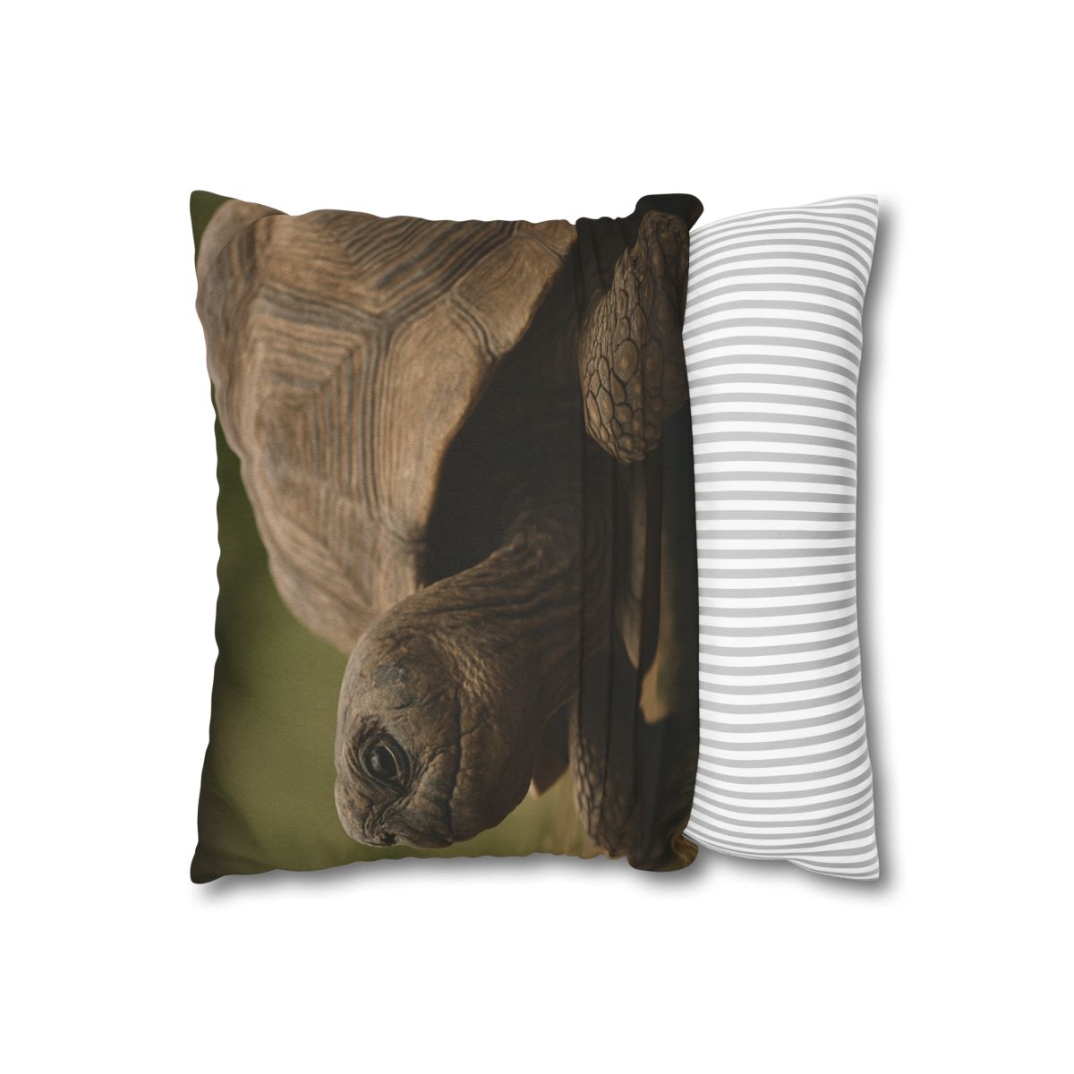 Giant Tortoise Timebound Gaze personalized pillow covers