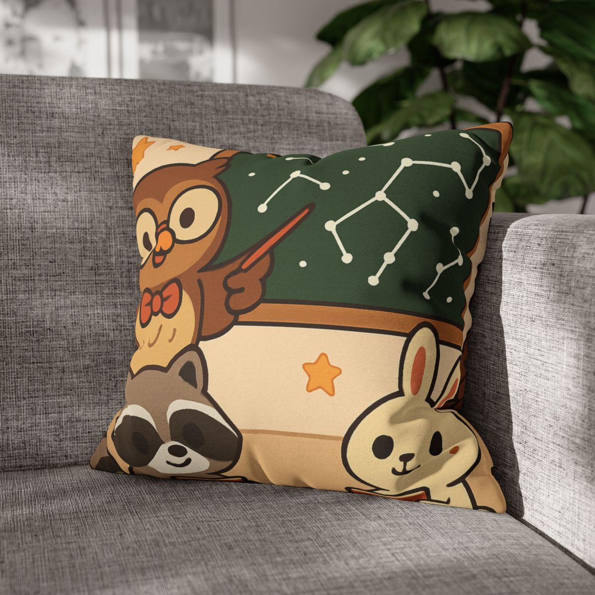 Comet Classroom Owl And The Star Map Chalkboard soft cotton pillow cases