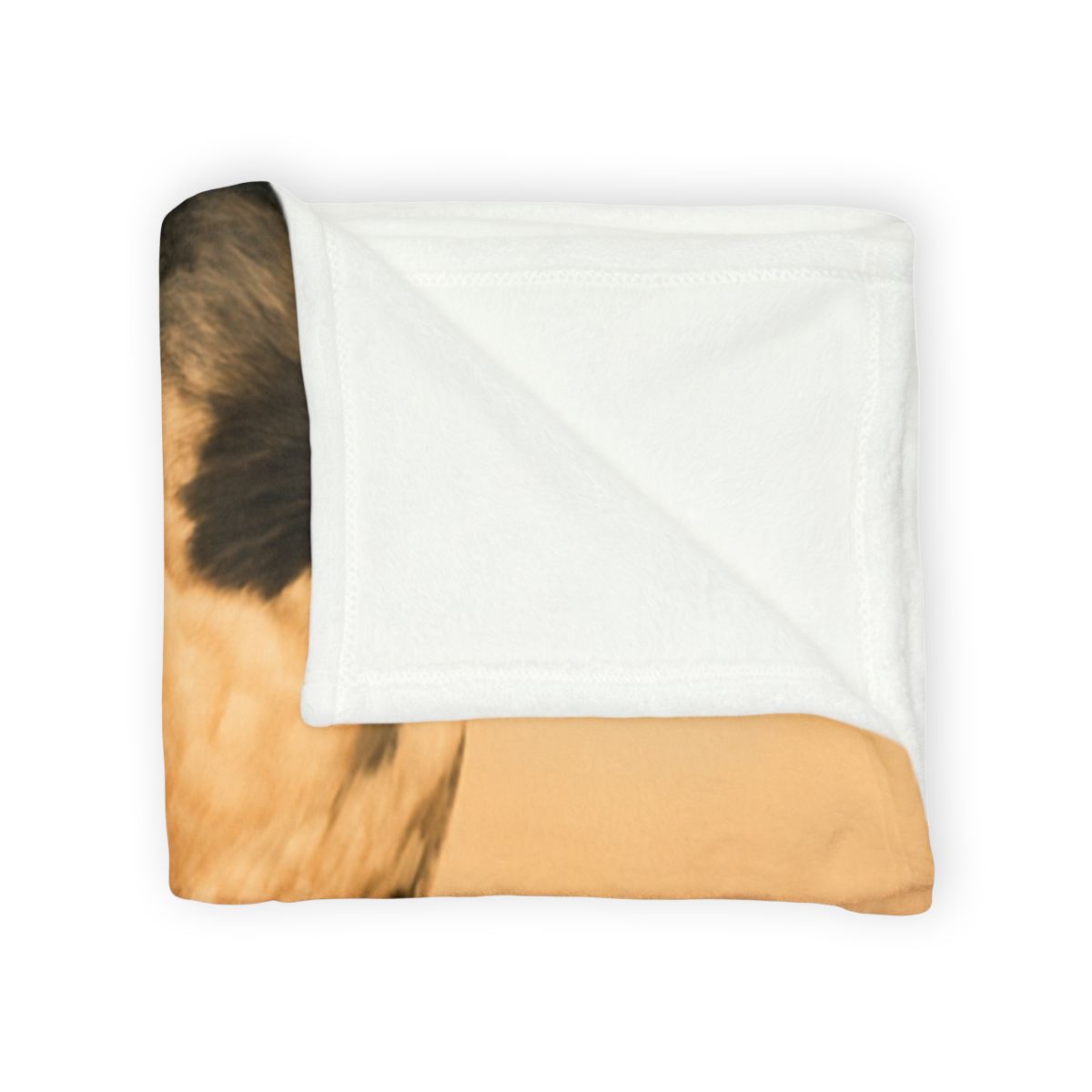 Solar Crest Peregrine Falcon decorative home blankets