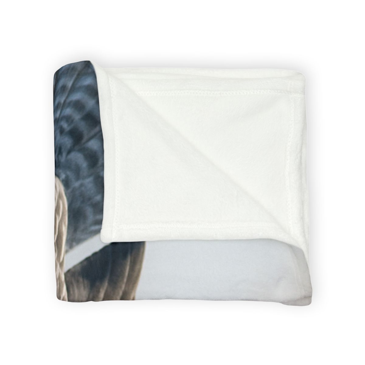 Comet Dive Peregrine Falcon soft fleece blankets
