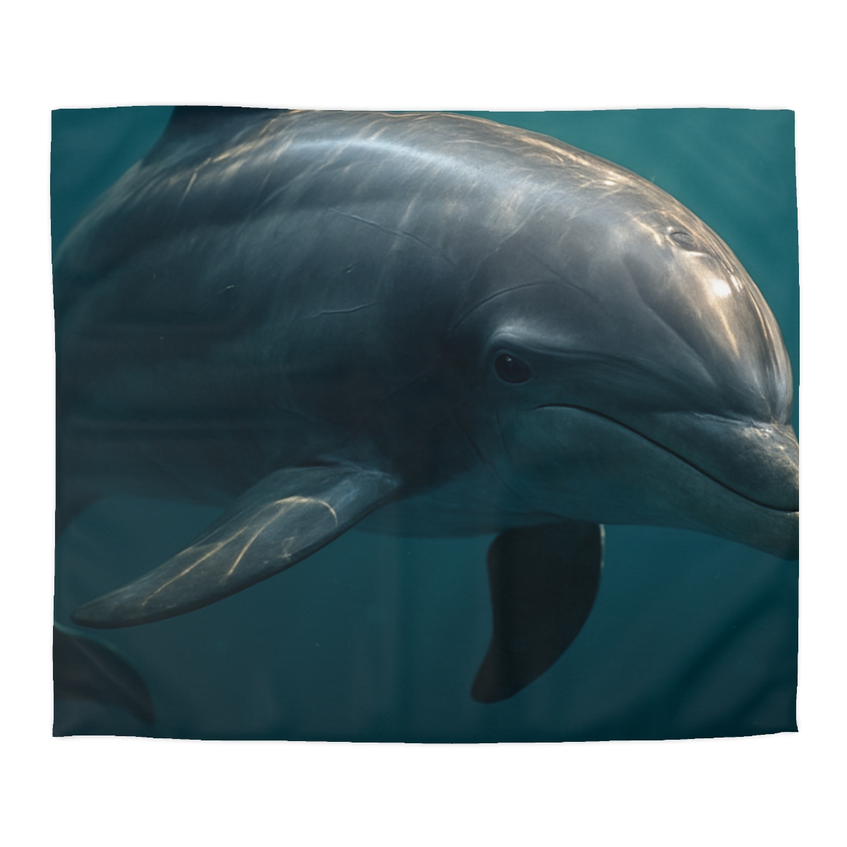 Nebula Drift Bottlenose Dolphin soft comforter duvets