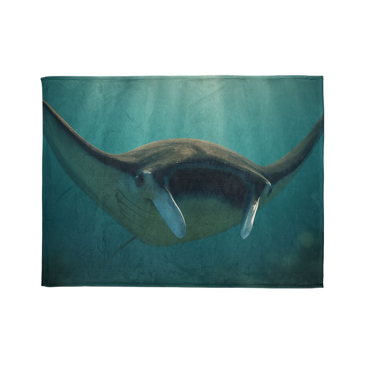 Starlit Drift Giant Manta Ray unique gift blankets