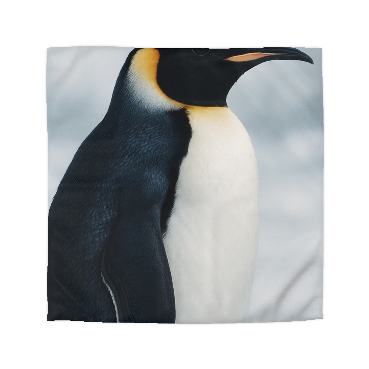 Aurora Drift Emperor Penguin stylish duvet covers