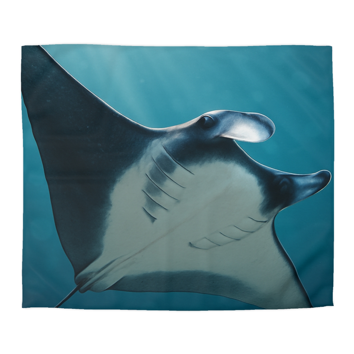 Starlit Surge Manta Ray unique patterned duvets