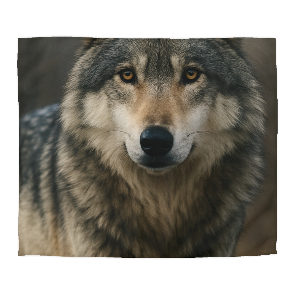 Ember Gaze Gray Wolf custom duvets