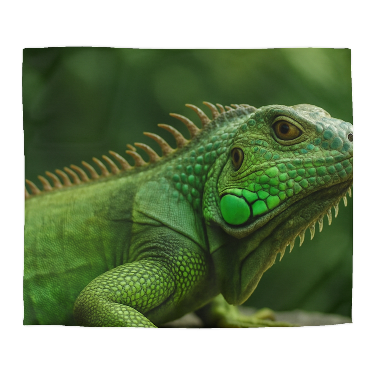 Stone Watcher Green Iguana designer printed duvets