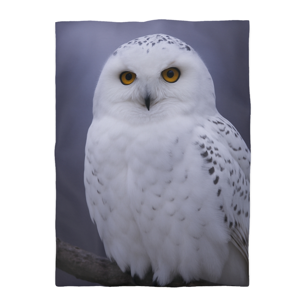 Twilight Watcher Snowy Owl soft comforter duvets