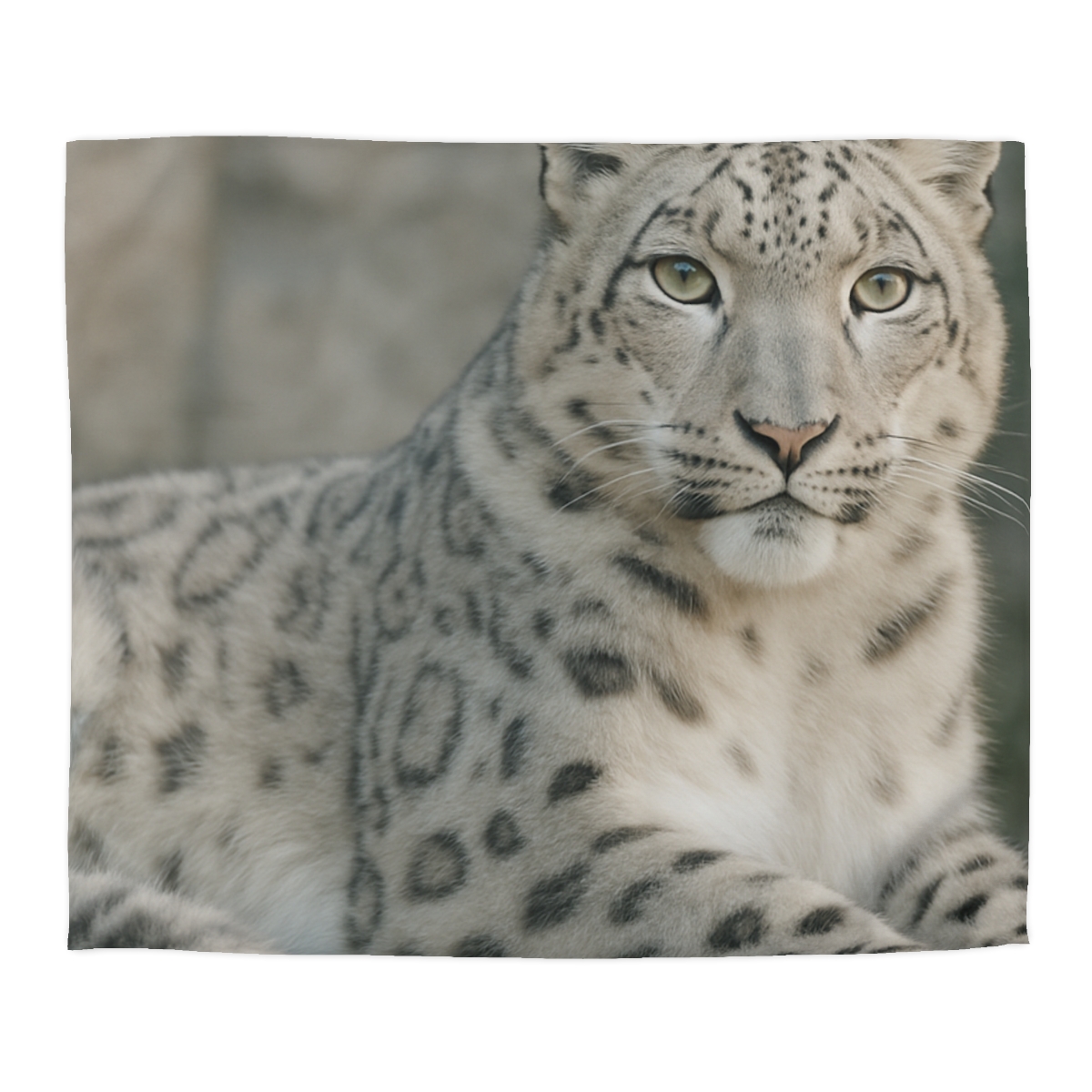 Hidden Realm Snow Leopard unique patterned duvets