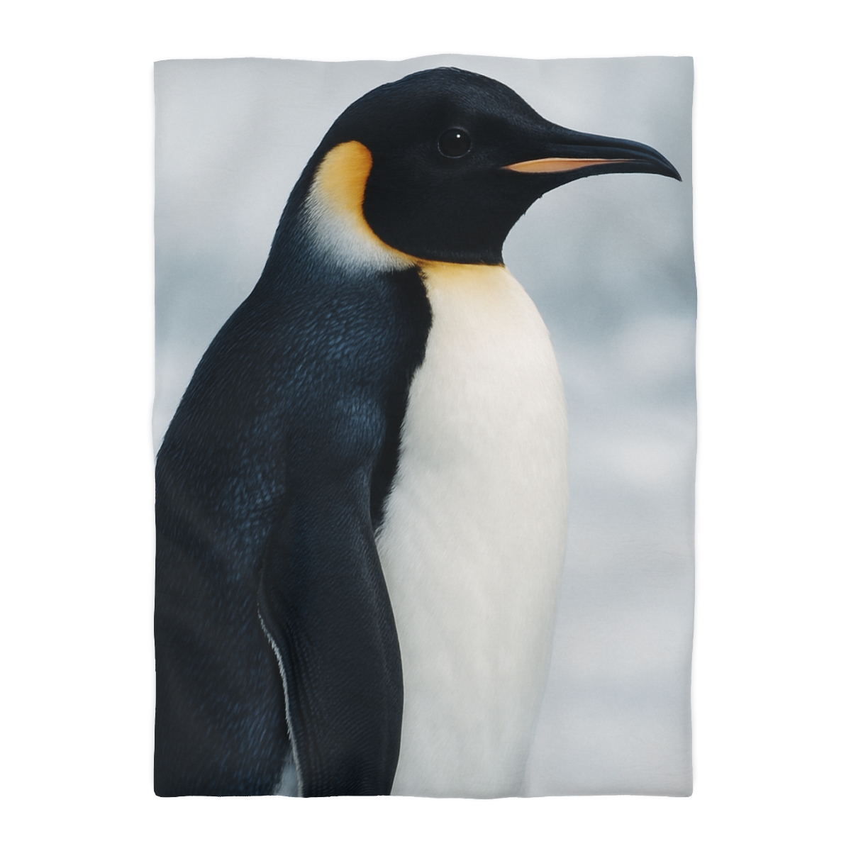 Aurora Drift Emperor Penguin stylish duvet covers