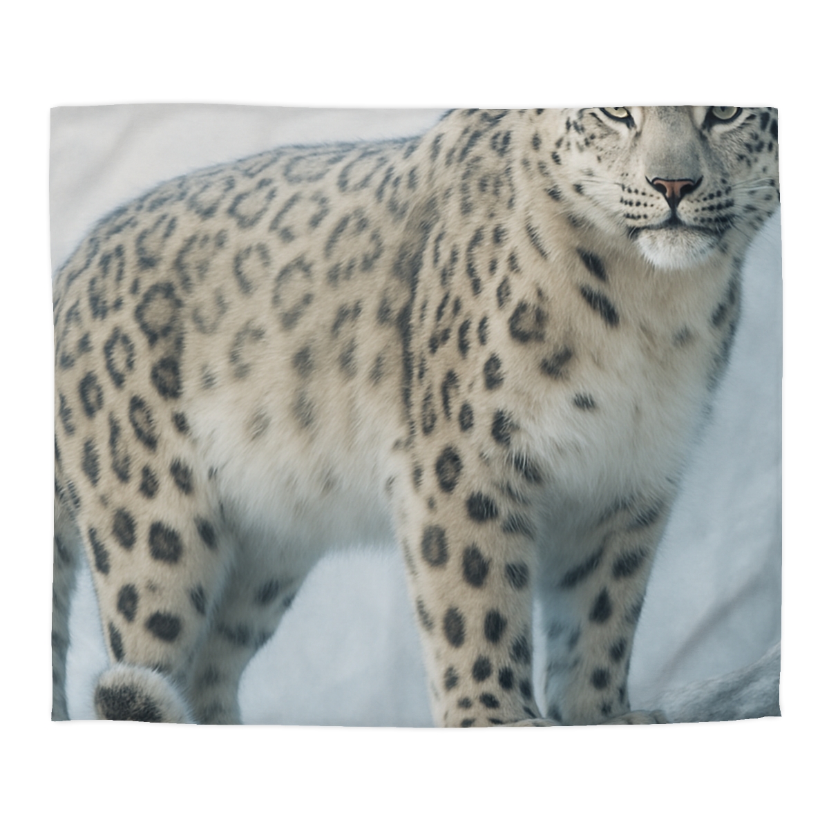 Frost Summit Snow Leopard personalized bedding duvets