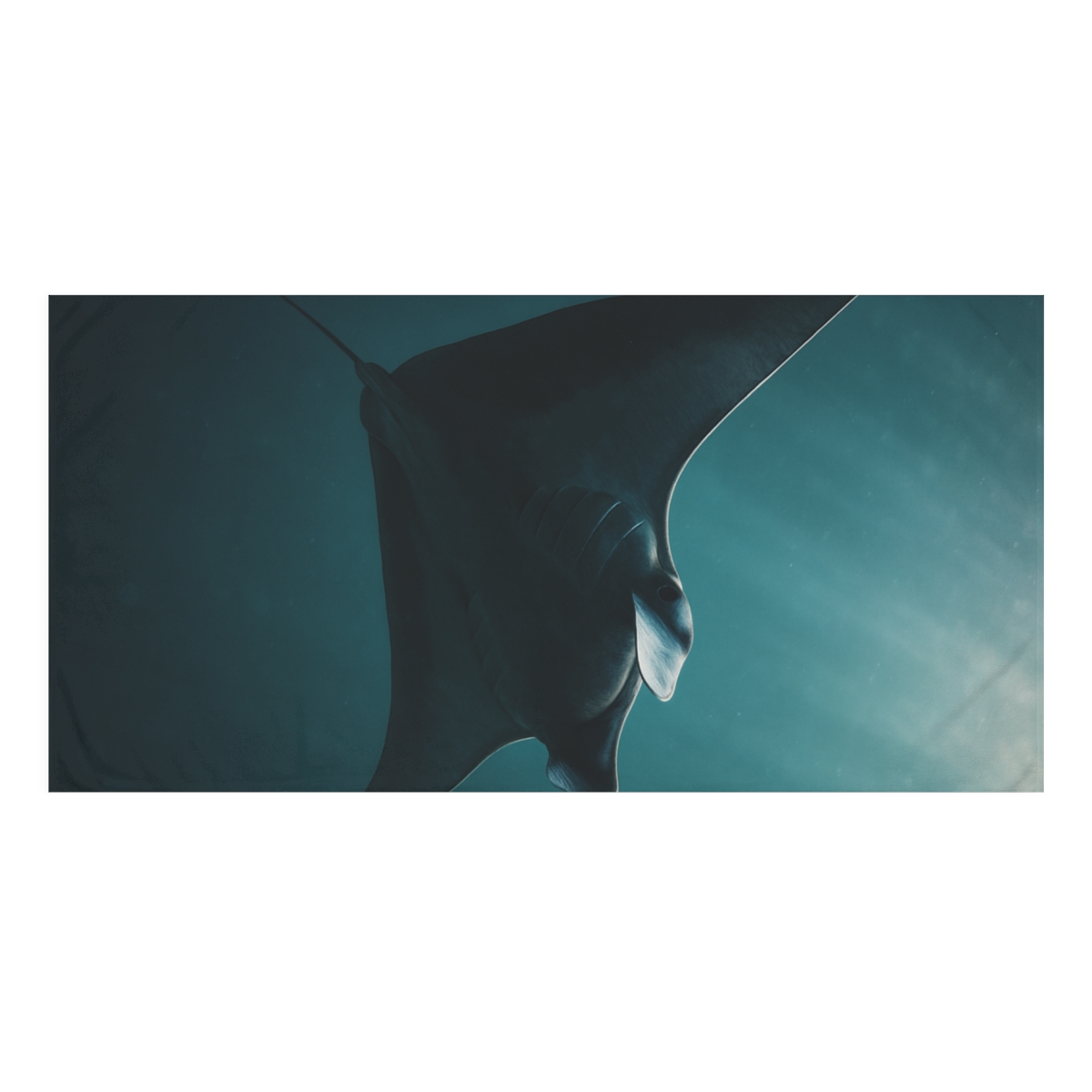 Midnight Glide Manta Ray decorative home towelscustom towels