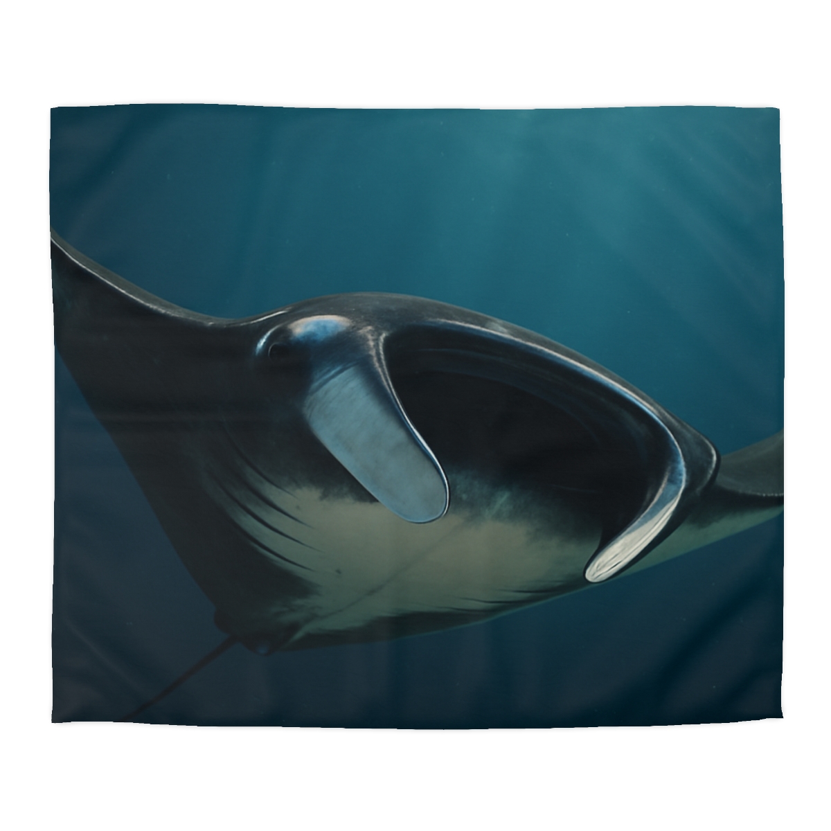 Starlit Glide Manta Ray stylish duvet covers