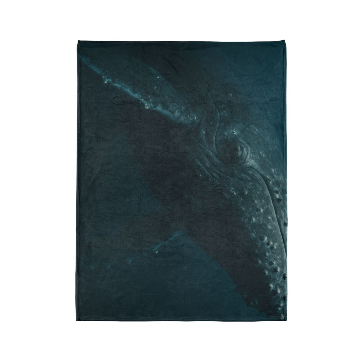 Deep Current Humpback Whale decorative home blankets