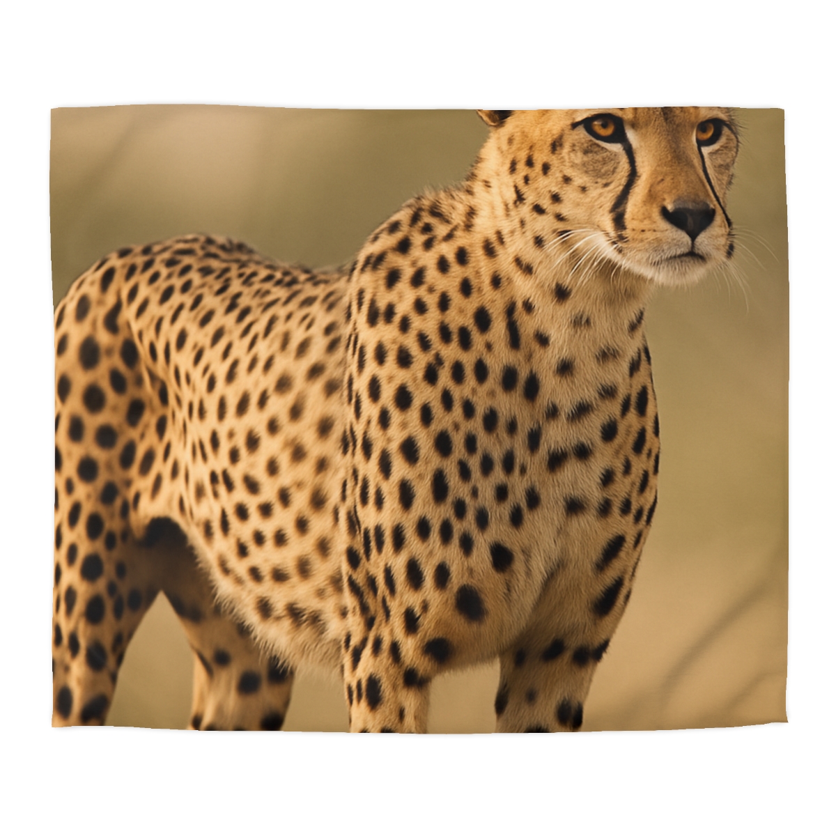 Wind Trace Cheetah personalized bedding duvets