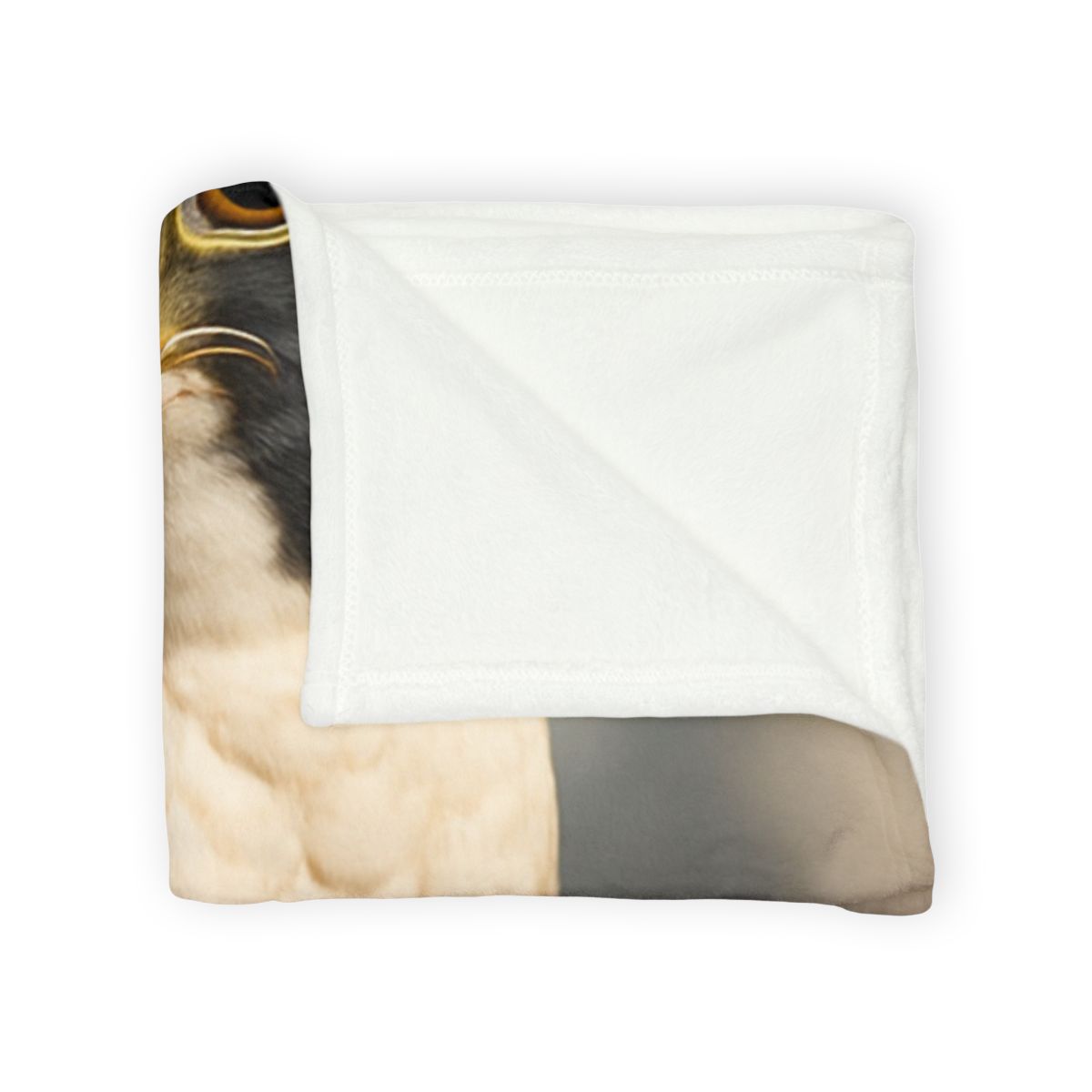 Velocity Gaze Peregrine Falcon decorative home blankets