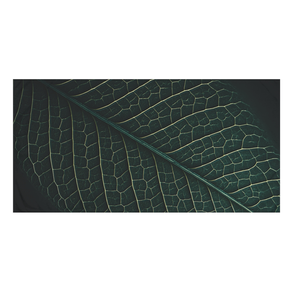 Vein Circuit Filigree designer printed towels