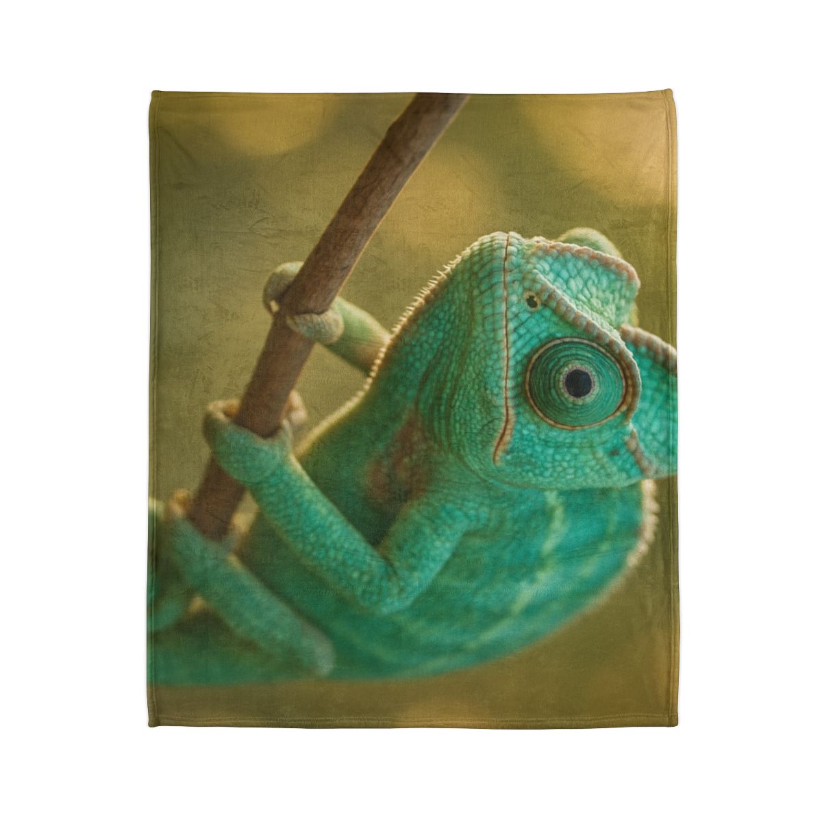Prism Gaze Veiled Chameleon trendy patterned blankets