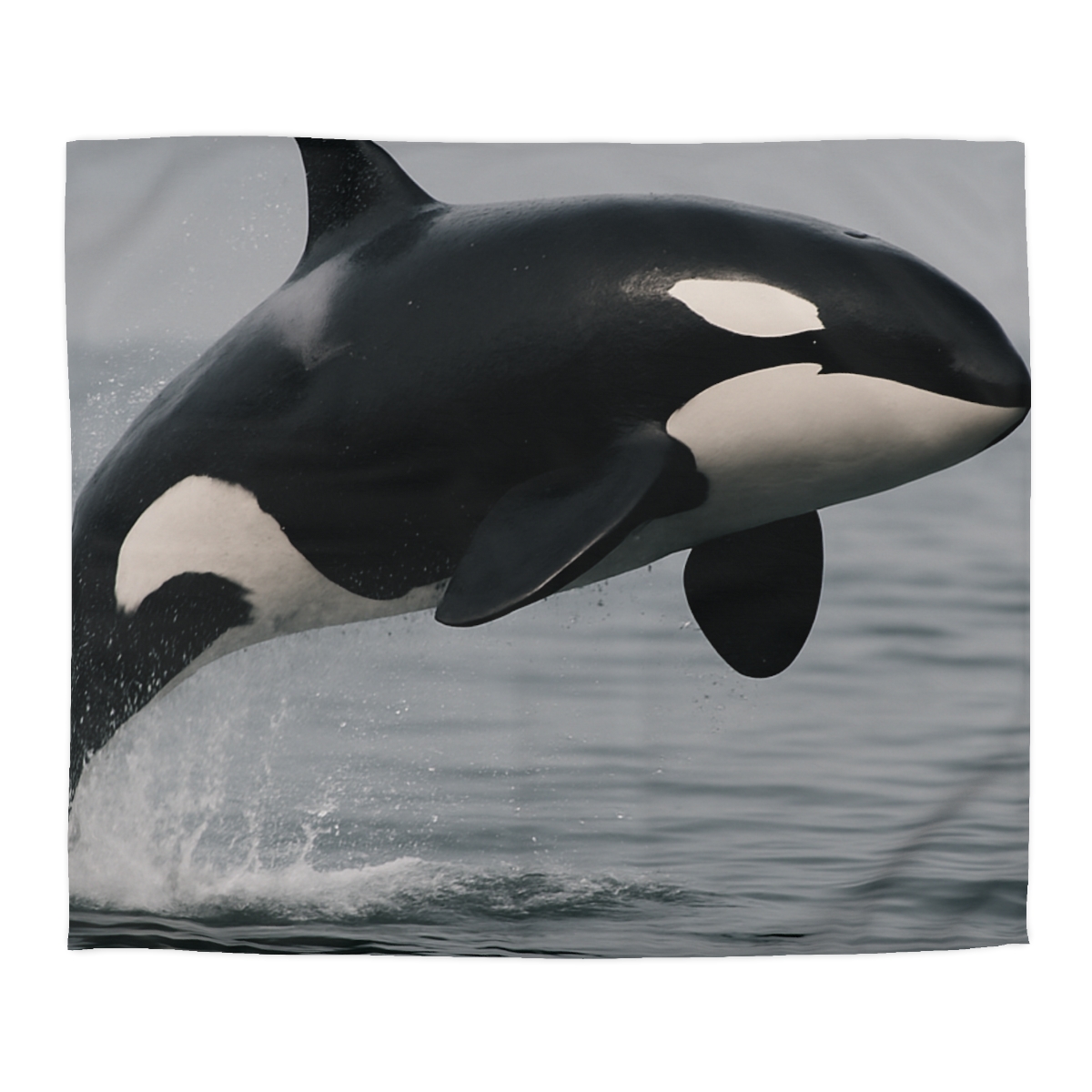 Tidal Monarch Orca custom duvets