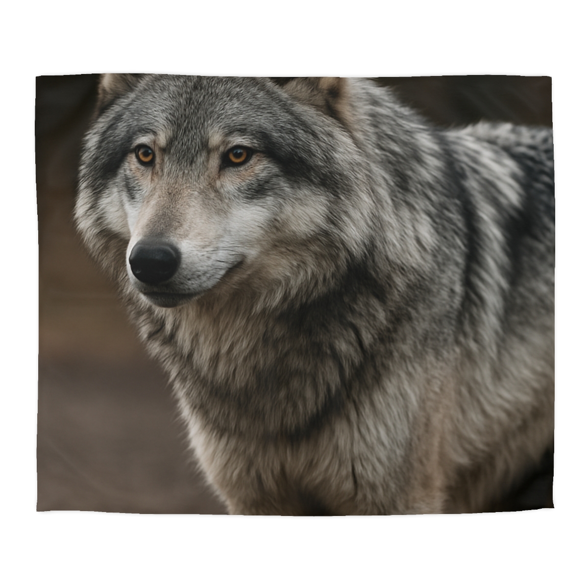 Silver Gaze Gray Wolf duvets for gifts