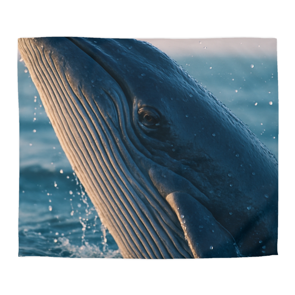 Ocean Song Blue Whale soft comforter duvets