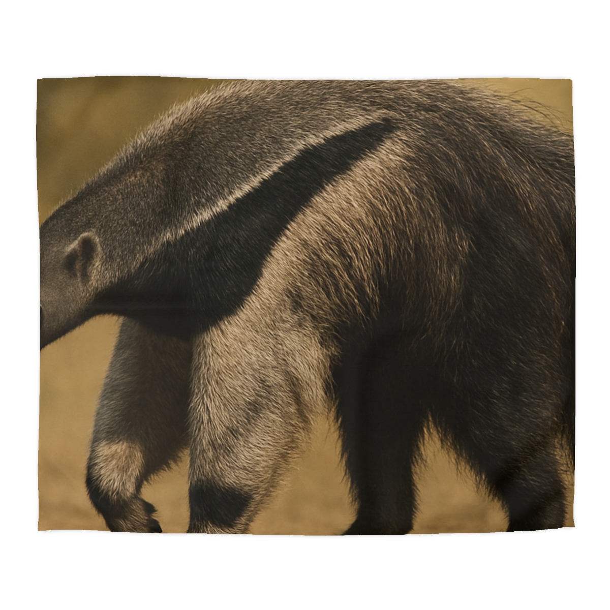 Velvet Trail Giant Anteater unique patterned duvets