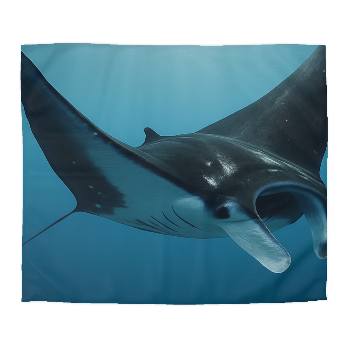 Manta Ray Silent Glide custom duvets
