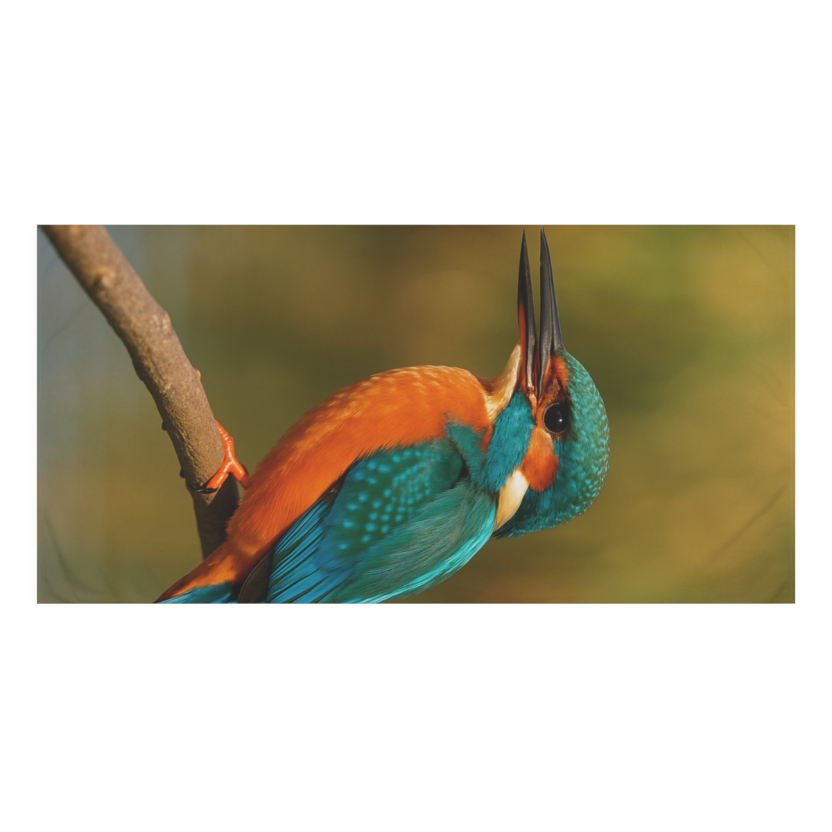 Emerald Flash Kingfisher personalized bath towels
